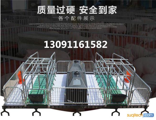 母猪产床源头厂家批发 发货及时，助力畜牧机械升级